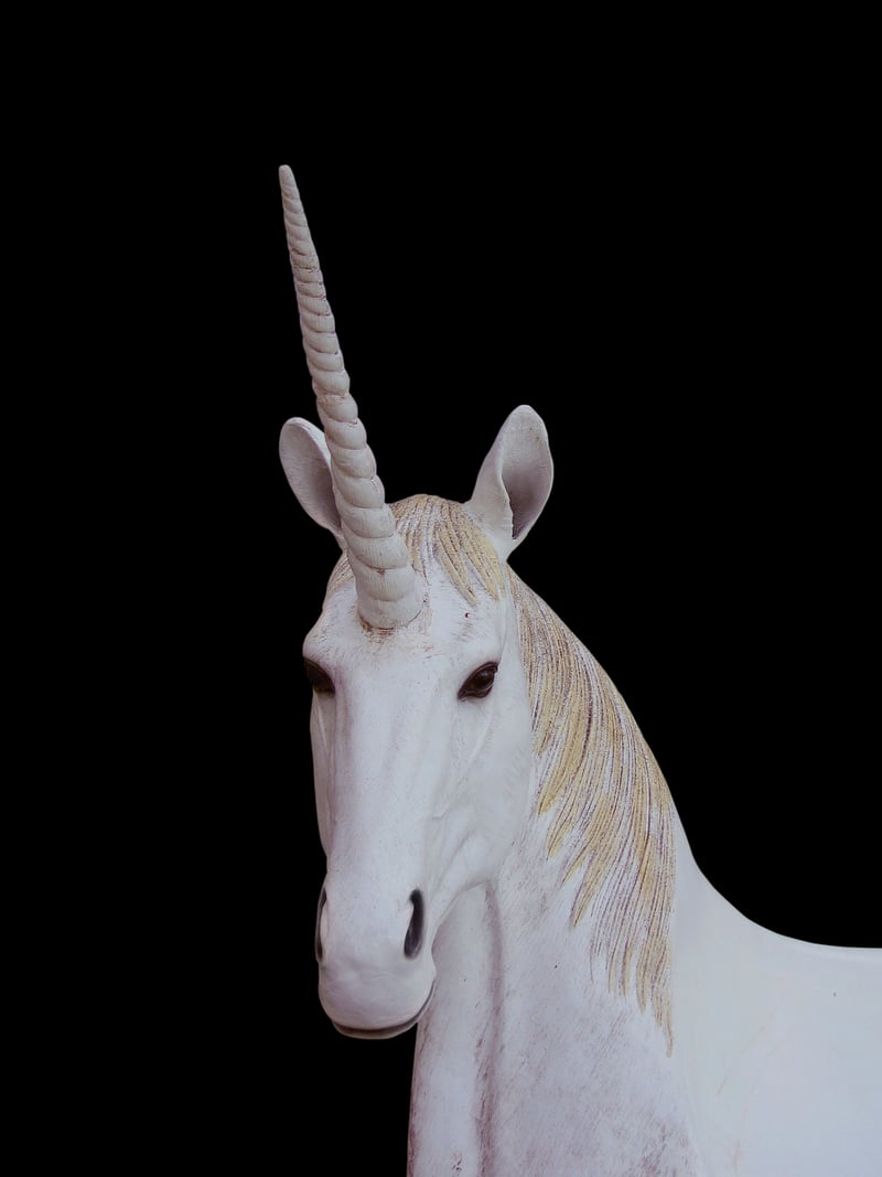 Fantasy Creature Cosplay